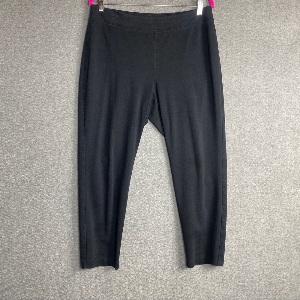 Eileen fisher pull on ankle pants size LP